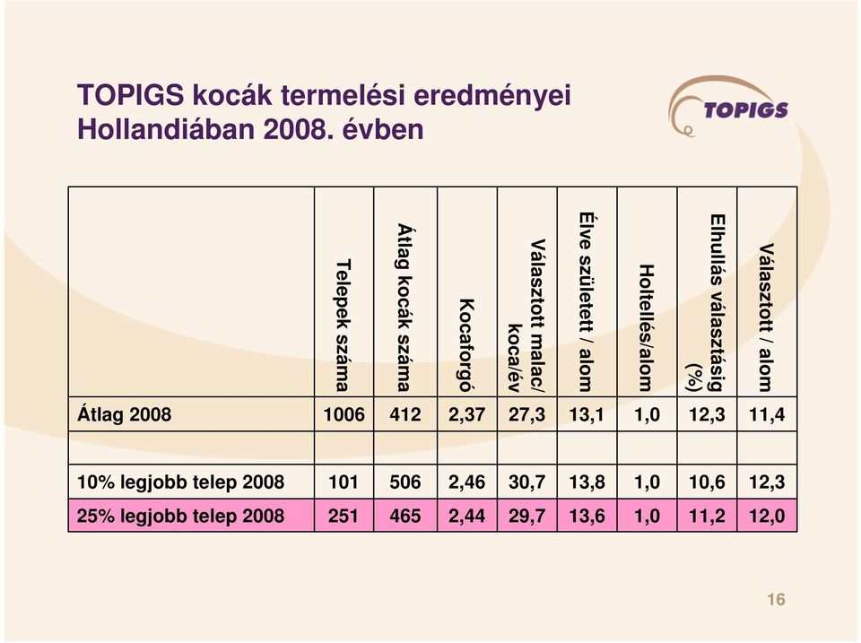 Hollandiában 2008.