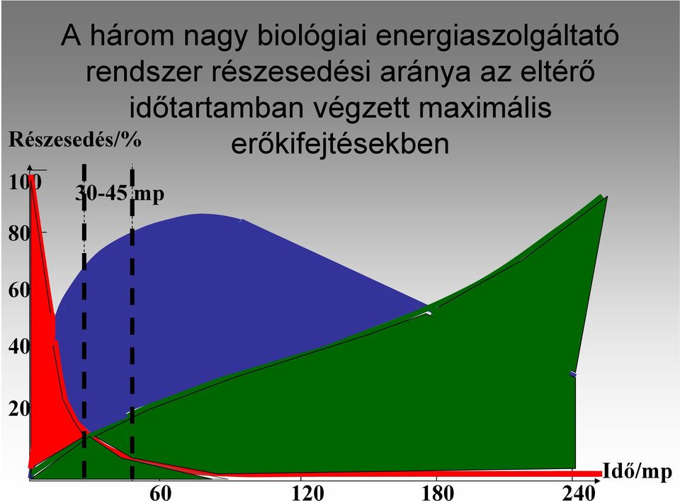 erőkifejtésekben Részesedés/% 100 80 30-45 mp 60 40 Aerob