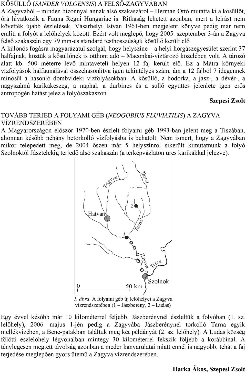szeptember 3-án a Zagyva felső szakaszán egy 79 mm-es standard testhosszúságú kősüllő került elő.