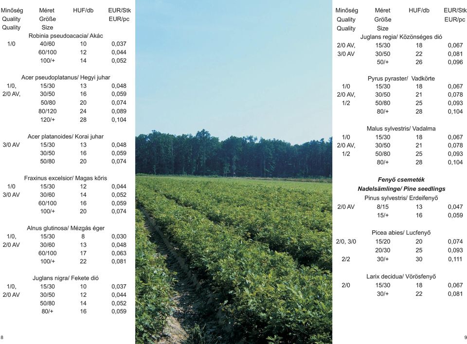 50/80 20 0,074 Pyrus pyraster/ Vadkörte 1/0 18 0,067 2/0 AV, 30/50 21 0,078 1/2 50/80 25 0,093 80/+ 28 0,104 Malus sylvestris/ Vadalma 1/0 18 0,067 2/0 AV, 30/50 21 0,078 1/2 50/80 25 0,093 80/+ 28