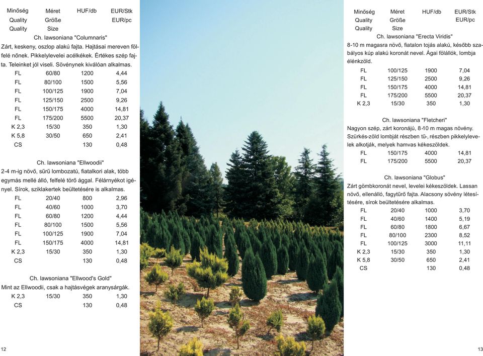 lawsoniana "Ellwoodii" 2-4 m-ig növõ, sûrû lombozatú, fiatalkori alak, több egymás mellé álló, felfelé törõ ággal. Félárnyékot igényel. Sírok, sziklakertek beültetésére is alkalmas.