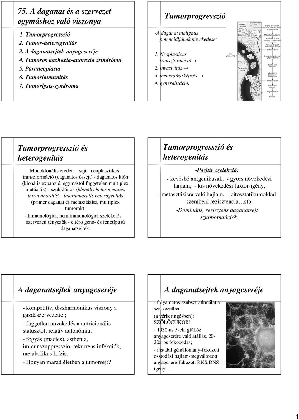 Tumorprogresszió és heterogenitás - Monoklonális eredet: sejt - neoplasztikus transzformáció (daganatos ıssejt) - daganatos klón (klonális expanzió, egymástól függetelen multiplex mutációk) -
