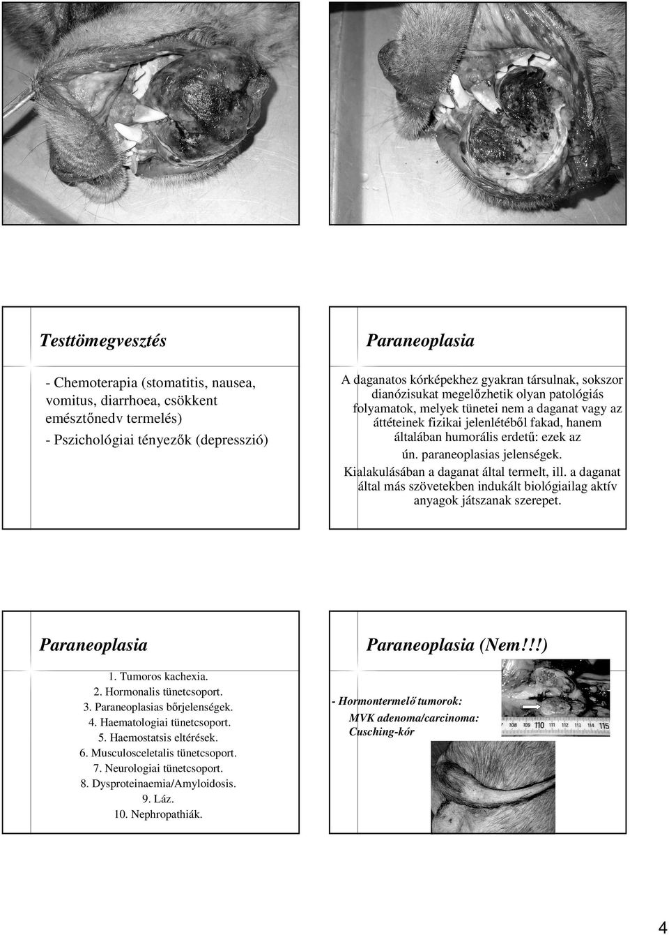Dysproteinaemia/Amyloidosis. 9. Láz. 10. Nephropathiák.