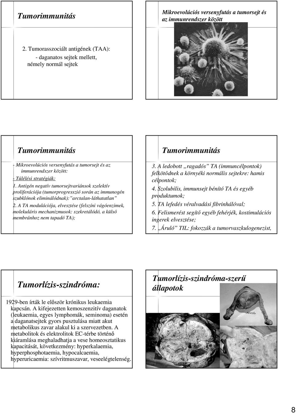 Antigén negatív tumorsejtvariánsok szelektív proliferációja (tumorprogresszió során az immunogén szubklónok eliminálódnak): arctalan-láthatatlan 2.