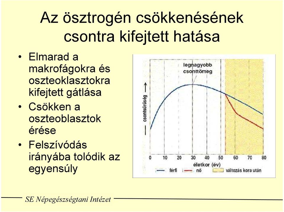 oszteoklasztokra kifejtett gátlása Csökken a