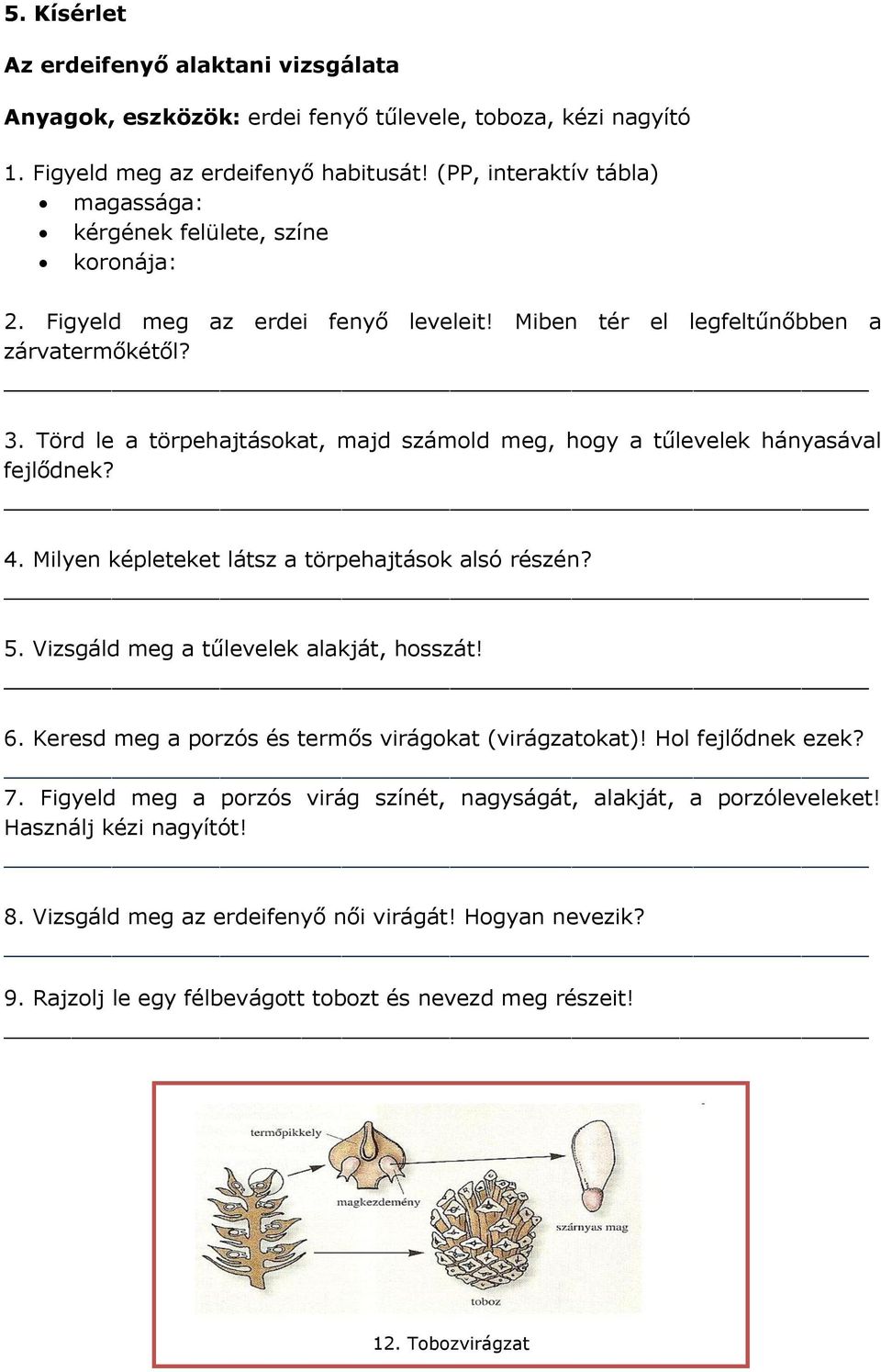 Törd le a törpehajtásokat, majd számold meg, hogy a tűlevelek hányasával fejlődnek? 4. Milyen képleteket látsz a törpehajtások alsó részén? 5. Vizsgáld meg a tűlevelek alakját, hosszát! 6.