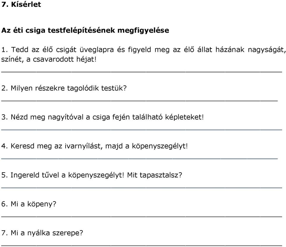 héjat! 2. Milyen részekre tagolódik testük? 3. Nézd meg nagyítóval a csiga fején található képleteket!