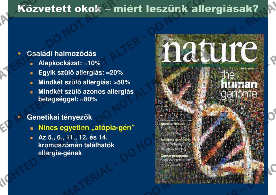 szülő allergiás: >50% Mindkét szülő azonos allergiás betegséggel: 80% Genetikai
