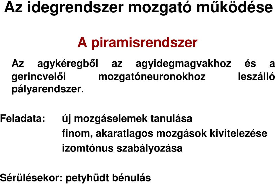 pályarendszer.