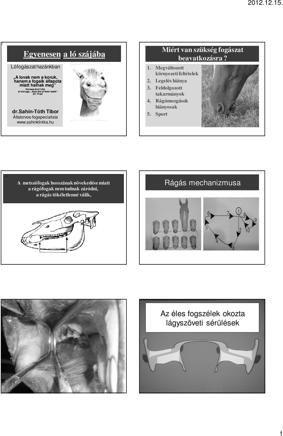 hu 3 Miért van szükség fogászat beavatkozásra? 1. Megváltozott környezeti feltételek 2. Legelés hiánya 3. Feldolgozott takarmányok 4.