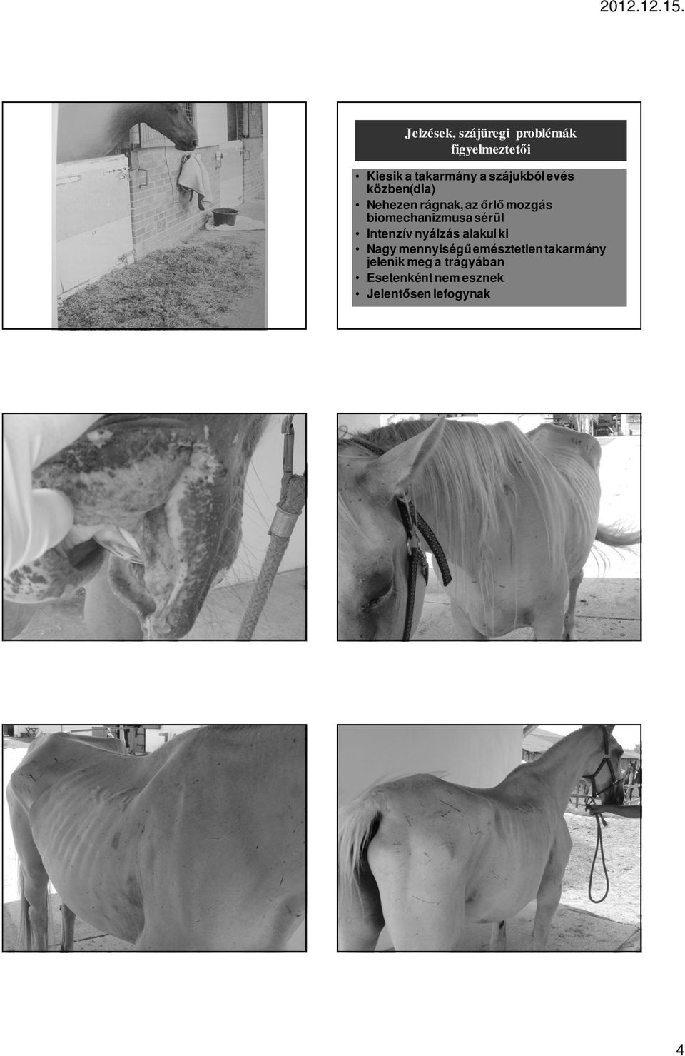 biomechanizmusa sérül Intenzív nyálzás alakul ki Nagy mennyiségő