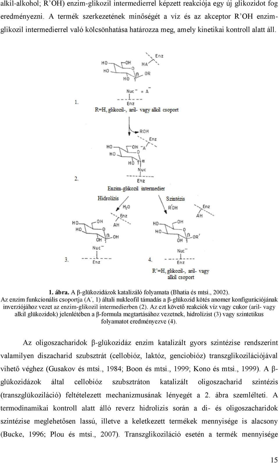 A β-glükozidázok katalizáló folyamata (Bhatia és mtsi., 2002).