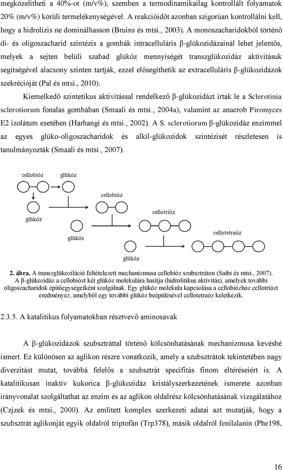 A monoszacharidokból történő di- és oligoszacharid szintézis a gombák intracelluláris β-glükozidázainál lehet jelentős, melyek a sejten belüli szabad glükóz mennyiségét transzglükozidáz aktivitásuk