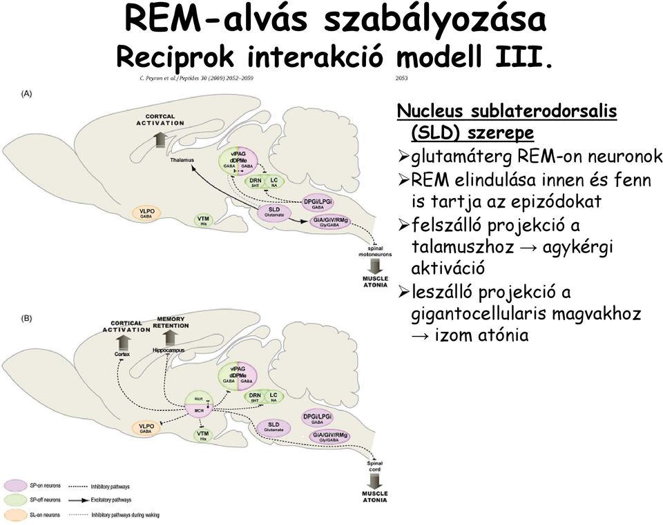 elindulása innen és fenn is tartja az epizódokat felszálló projekció a