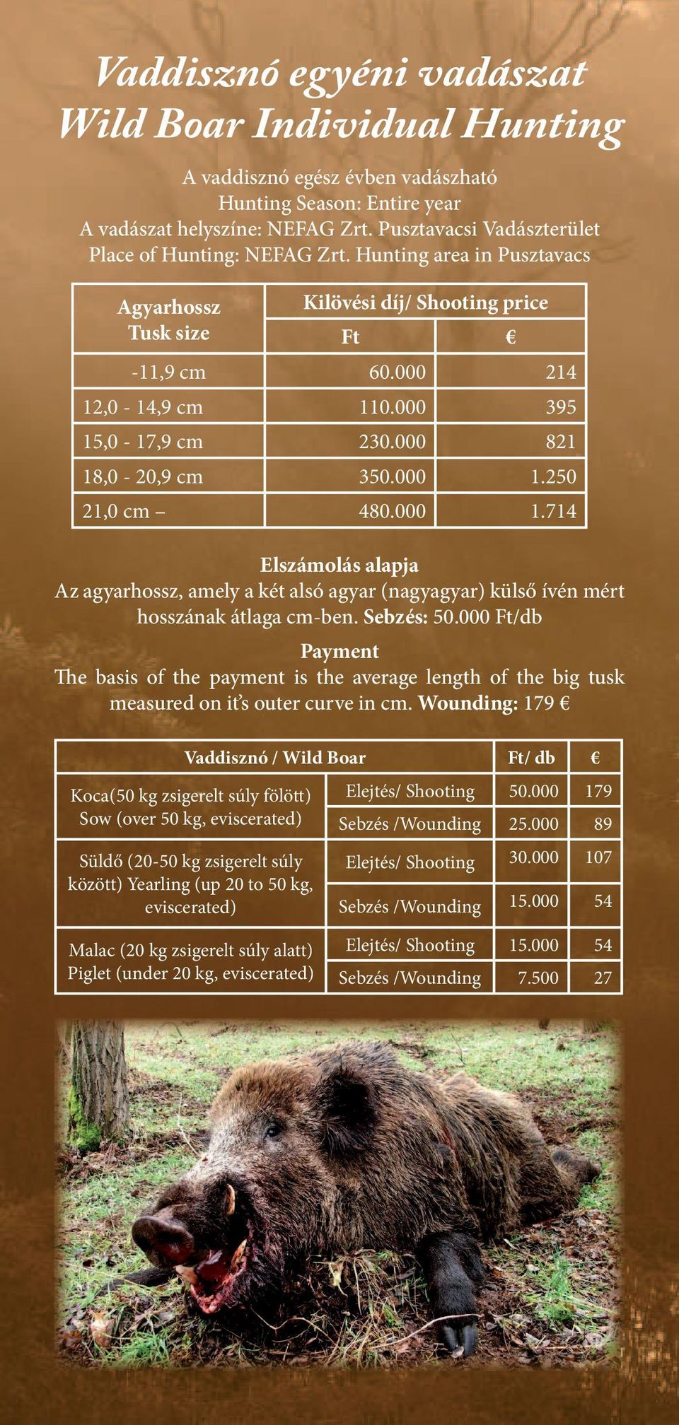 000 821 18,0-20,9 cm 350.000 1.250 21,0 cm 480.000 1.714 Elszámolás alapja Az agyarhossz, amely a két alsó agyar (nagyagyar) külső ívén mért hosszának átlaga cm-ben. Sebzés: 50.