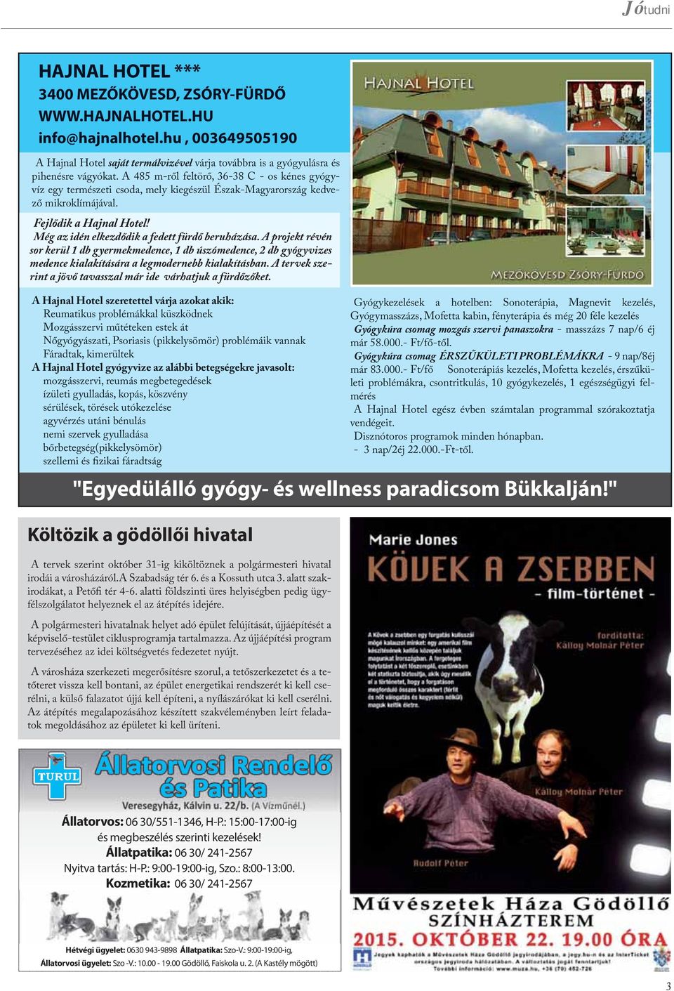 Még az idén elkezdődik a fedett fürdő beruházása. A projekt révén sor kerül 1 db gyermekmedence, 1 db úszómedence, 2 db gyógyvizes medence kialakítására a legmodernebb kialakításban.