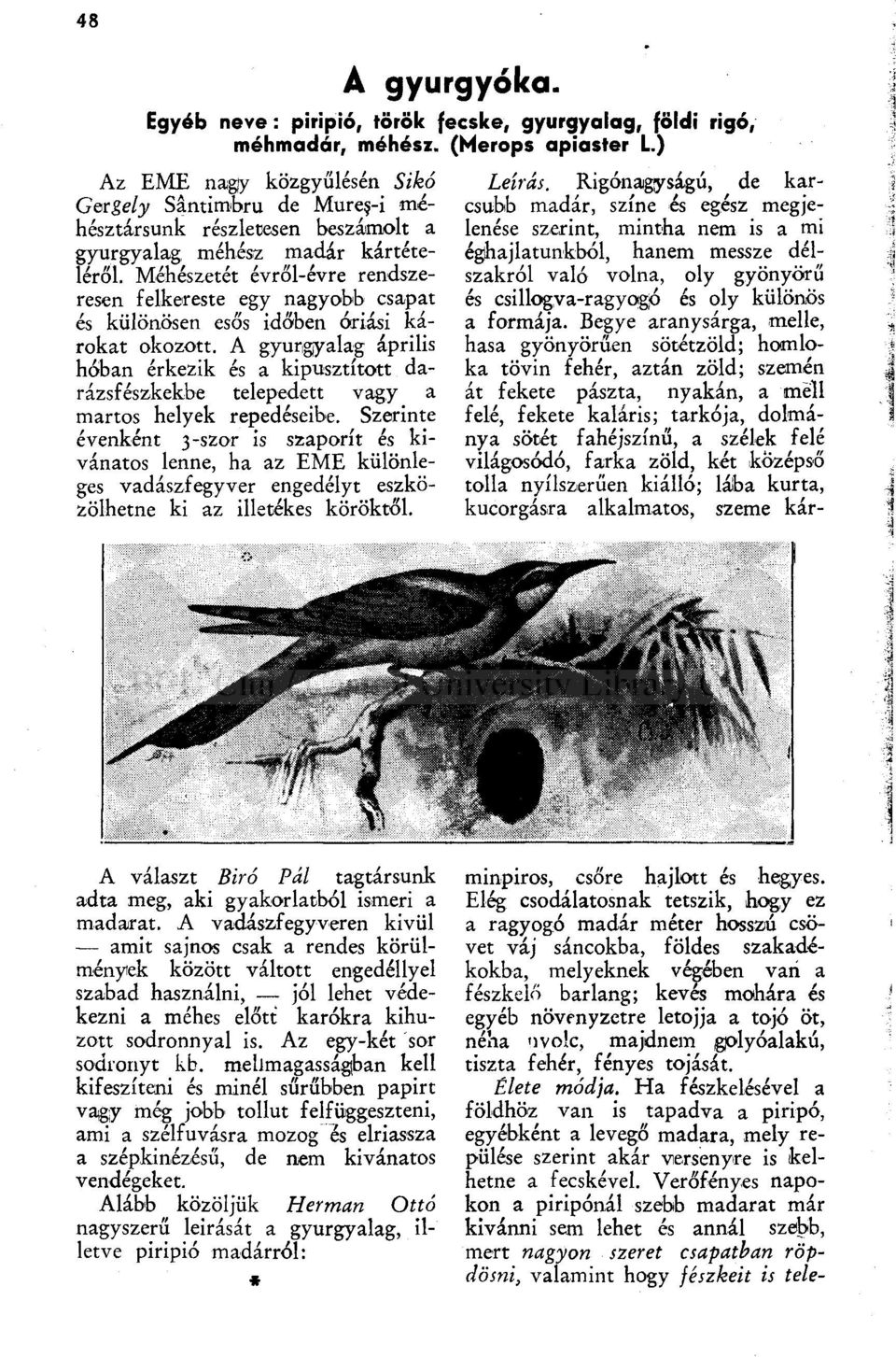 Méhészetét évről-évre rendszeresen felkereste egy nagyobb csapat és különösen esős idaben óriási károkat okozott.