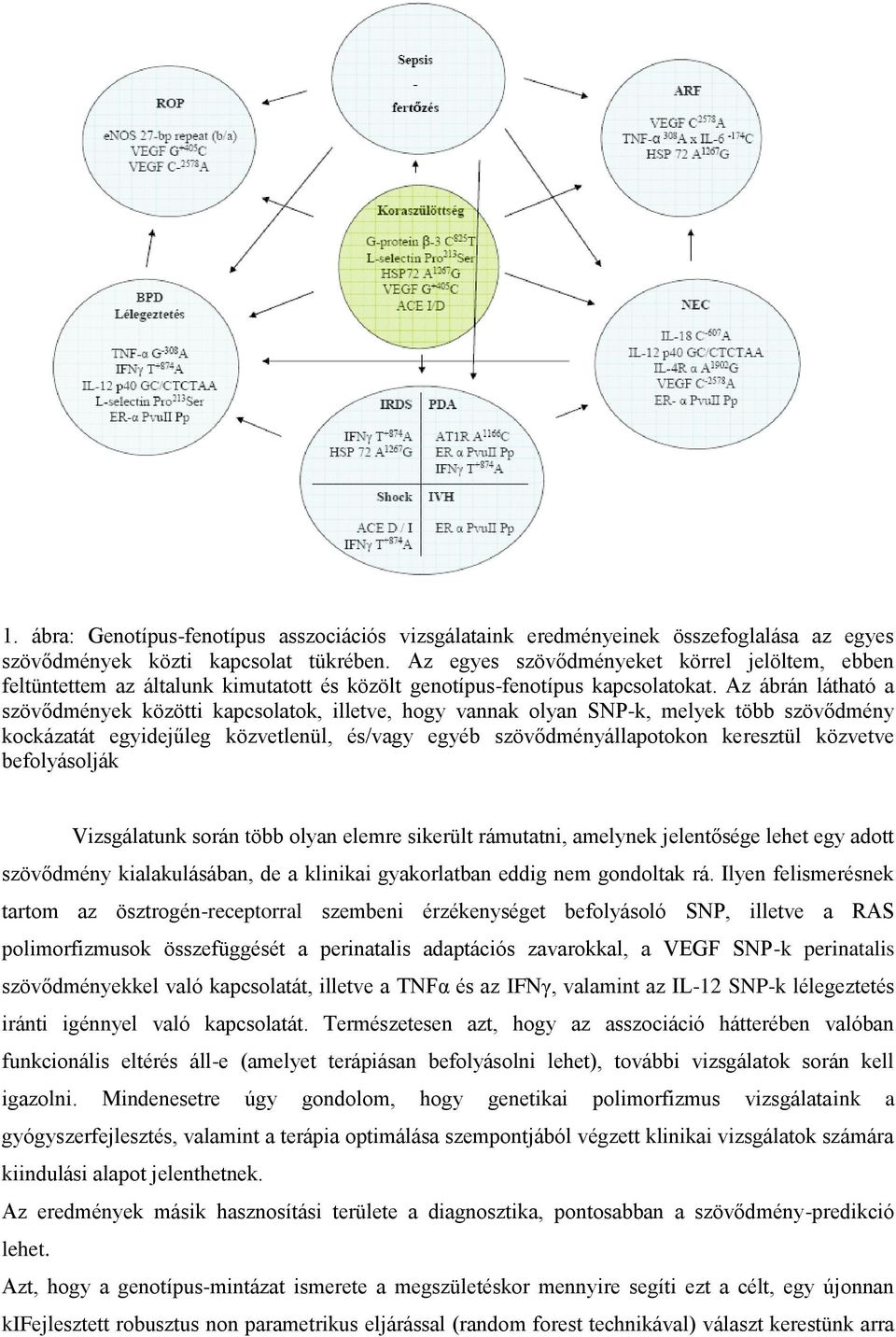 Az ábrán látható a szövődmények közötti kapcsolatok, illetve, hogy vannak olyan SNP-k, melyek több szövődmény kockázatát egyidejűleg közvetlenül, és/vagy egyéb szövődményállapotokon keresztül