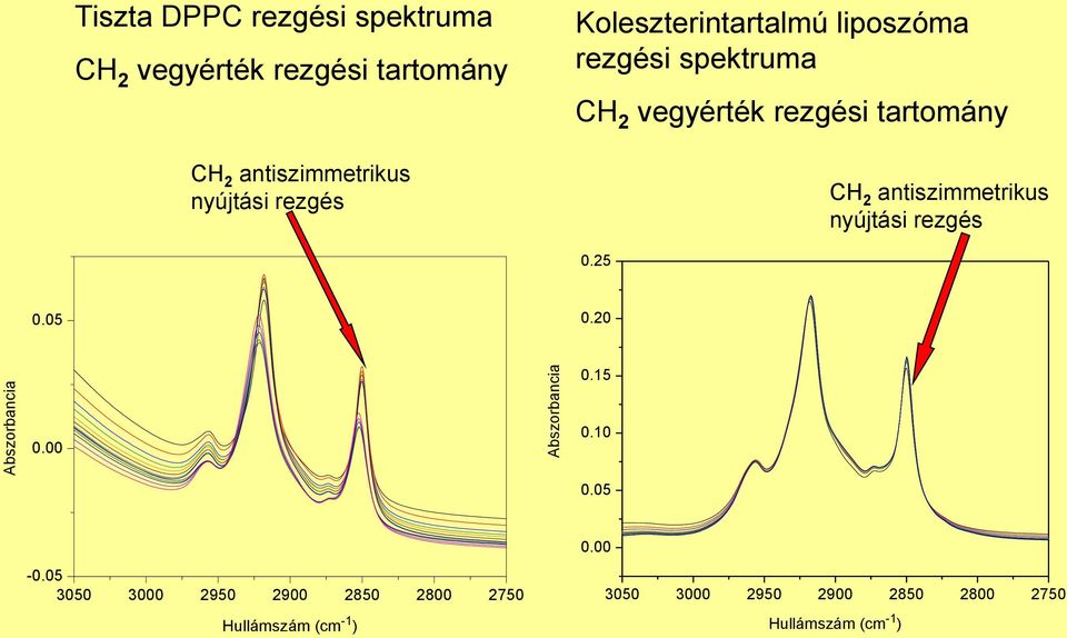 rezgési tartomány C 2 antiszimmetrikus nyújtási rezgés 0.25 0.05 0.20 0.15 0.00 0.10 0.05 0.00-0.