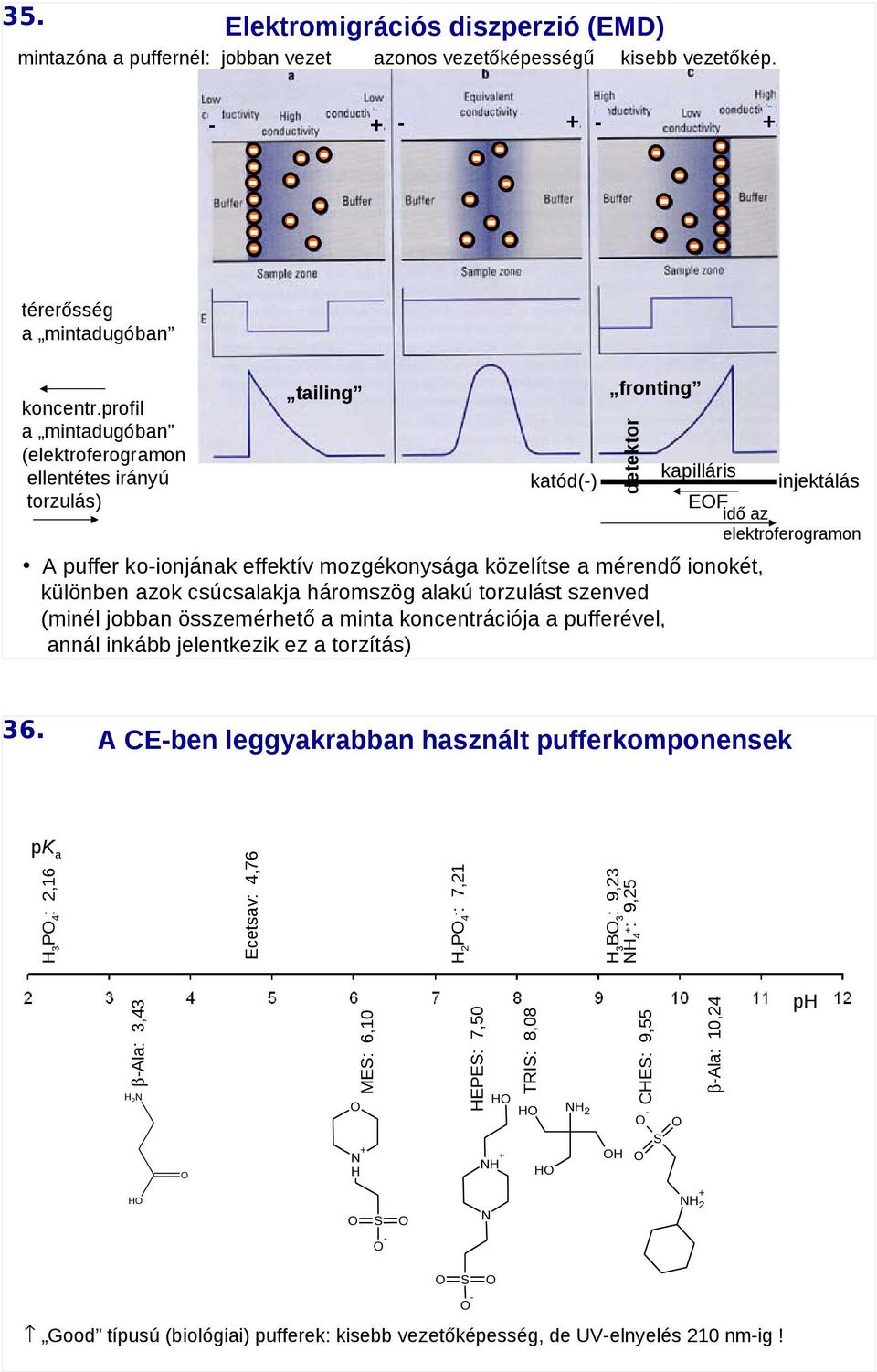különben azok csúcsalakja háromszög alakú torzulást szenved (minél jobban összemérhető a minta koncentrációja a pufferével, annál inkább jelentkezik ez a torzítás) A CE-ben leggyakrabban használt