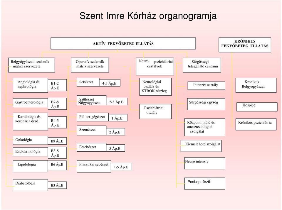 E Neurológiai osztály és STROK részleg Intenzív osztály Krónikus Belgyógyászat Gastroenterológia Kardiológia és koronáriaırzı B7-8 Áp.E B4-5 Áp.