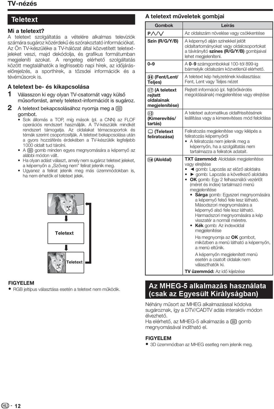A rengeteg elérhető szolgáltatás között megtalálhatók a legfrissebb napi hírek, az időjáráselőrejelzés, a sporthírek, a tőzsdei információk és a tévéműsorok is.