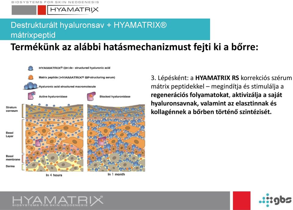 Lépésként: a HYAMATRIX RS korrekciós szérum mátrix peptidekkel megindítja és