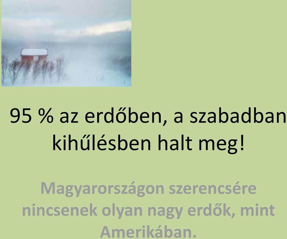 Magyarországon szerencsére