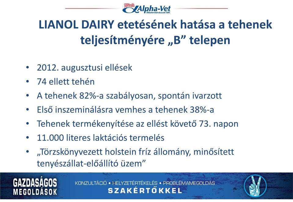 inszeminálásra vemhes a tehenek 38%-a Tehenek termékenyítése az ellést követő 73.