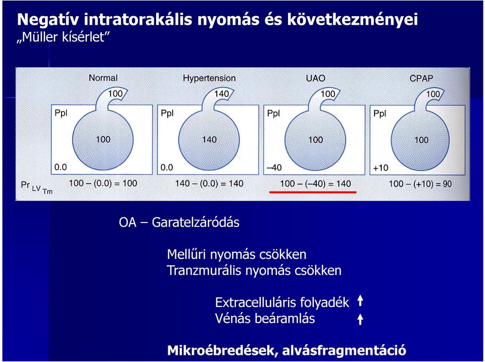 csökken Tranzmurális nyomás csökken Extracelluláris