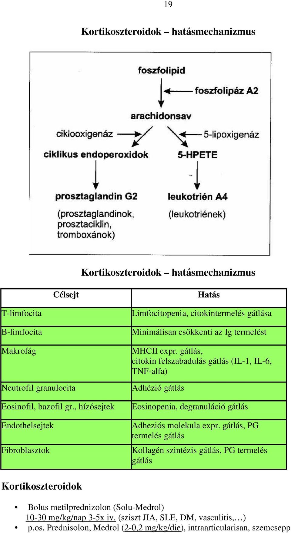 gátlás, citokin felszabadulás gátlás (IL-1, IL-6, TNF-alfa) Adhézió gátlás Eosinopenia, degranuláció gátlás Adheziós molekula expr.