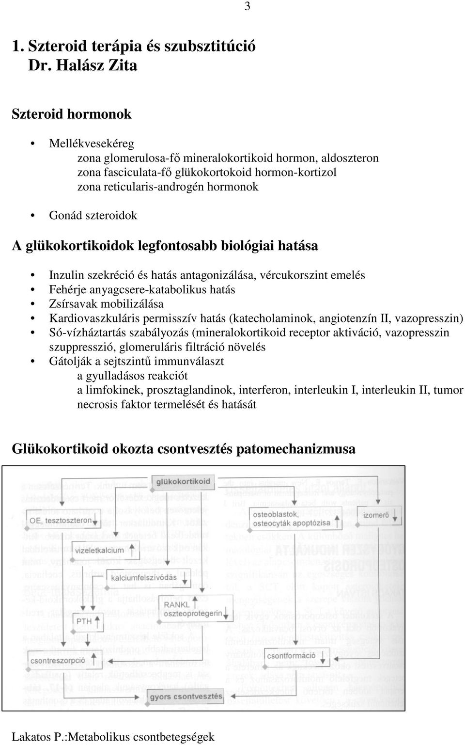 szteroidok A glükokortikoidok legfontosabb biológiai hatása Inzulin szekréció és hatás antagonizálása, vércukorszint emelés Fehérje anyagcsere-katabolikus hatás Zsírsavak mobilizálása