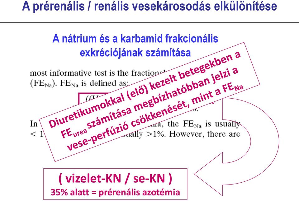 frakcionális exkréciójának számítása (