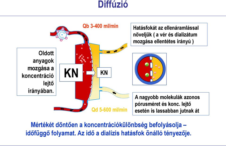 KN KN Qd 5-600 ml/min A nagyobb molekulák azonos pórusméret és konc.