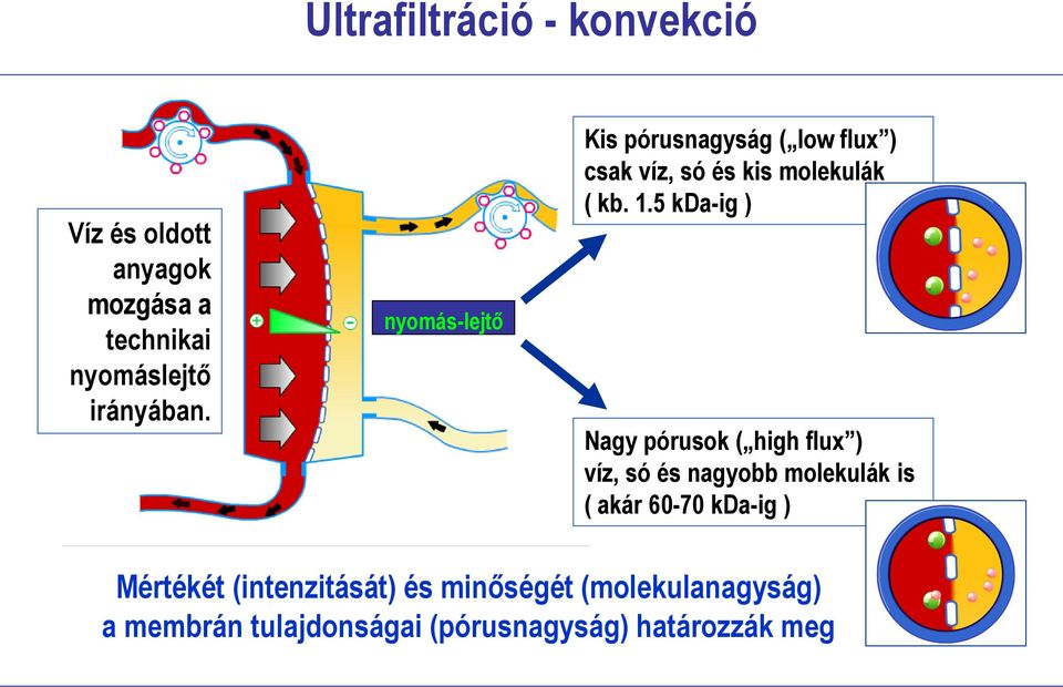 5 kda-ig ) Nagy pórusok ( high flux ) víz, só és nagyobb molekulák is ( akár 60-70 kda-ig )