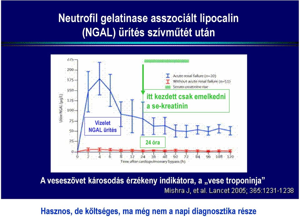 se-kreatinin 24 óra A veseszövet károsodás érzékeny indikátora, a