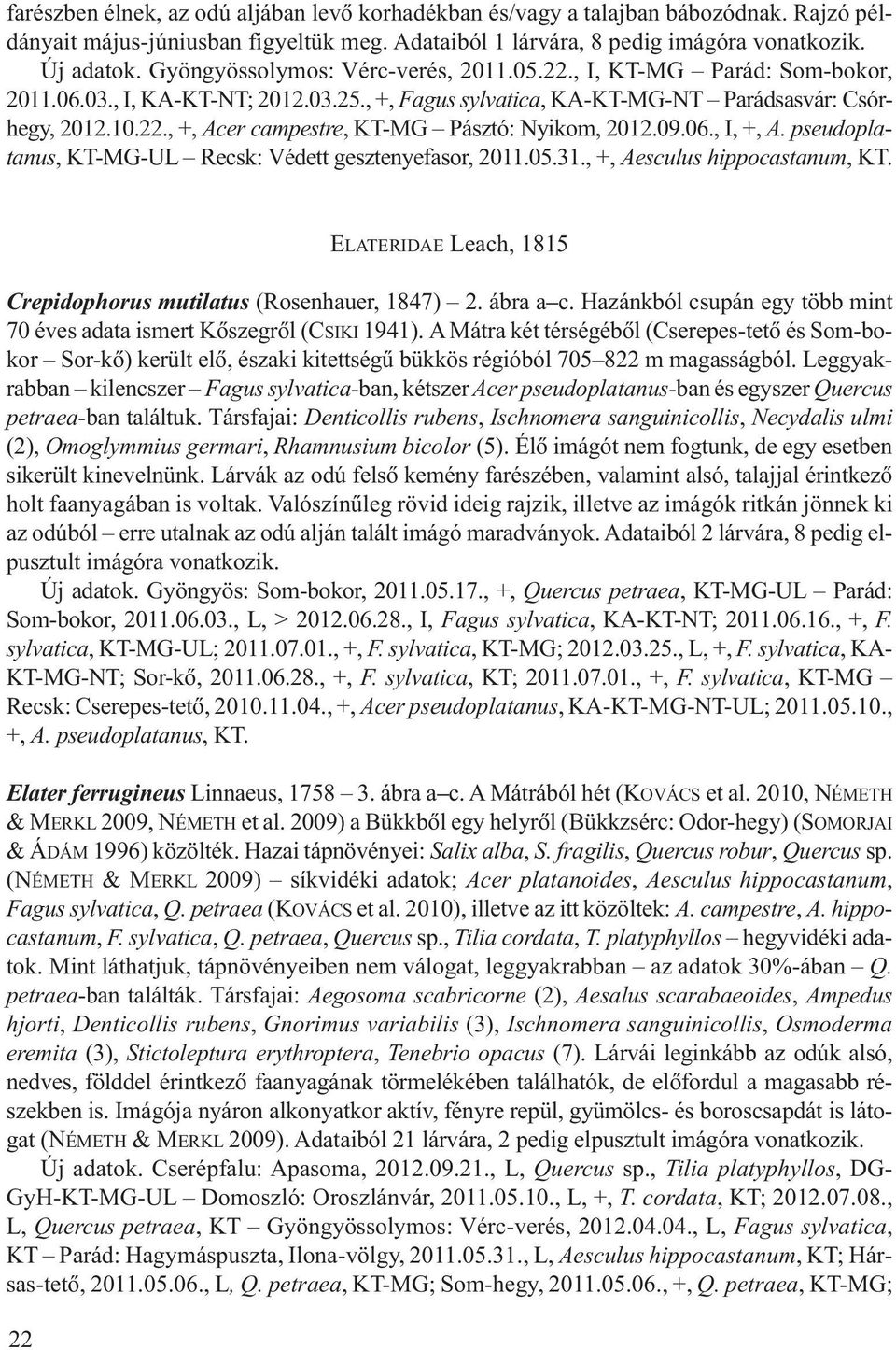 09.06., I, +, A. pseudoplatanus, KT-MG-UL Recsk: Védett gesztenyefasor, 2011.05.31., +, Aesculus hippocastanum, KT. ELATERIDAE Leach, 1815 Crepidophorus mutilatus (Rosenhauer, 1847) 2. ábra a c.