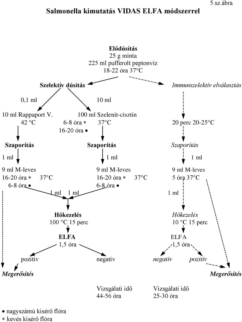 100 ml Szelenit-cisztin 42 C 6-8 óra 37 C 20 perc 20-25 C 16-20 óra Szaporítás Szaporítás Szaporítás 1 ml 1 ml 1 ml 9 ml M-leves 9 ml M-leves 9 ml M-leves 16-20