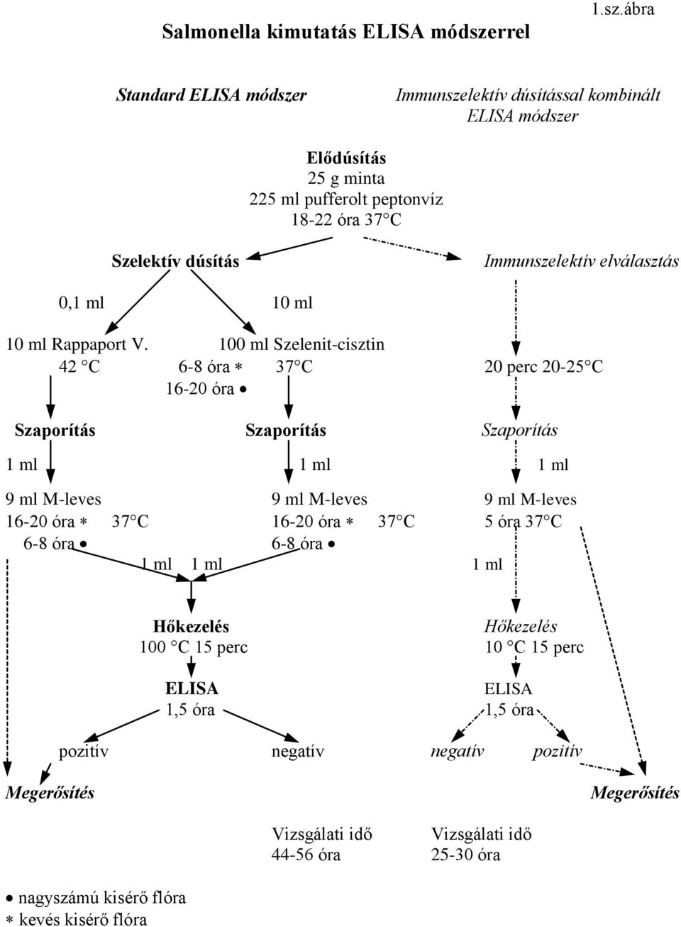 ábra Standard ELISA módszer Immunszelektív dúsítással kombinált ELISA módszer Elődúsítás 25 g minta 225 ml pufferolt peptonvíz 18-22 óra 37 C Szelektív dúsítás Immunszelektív