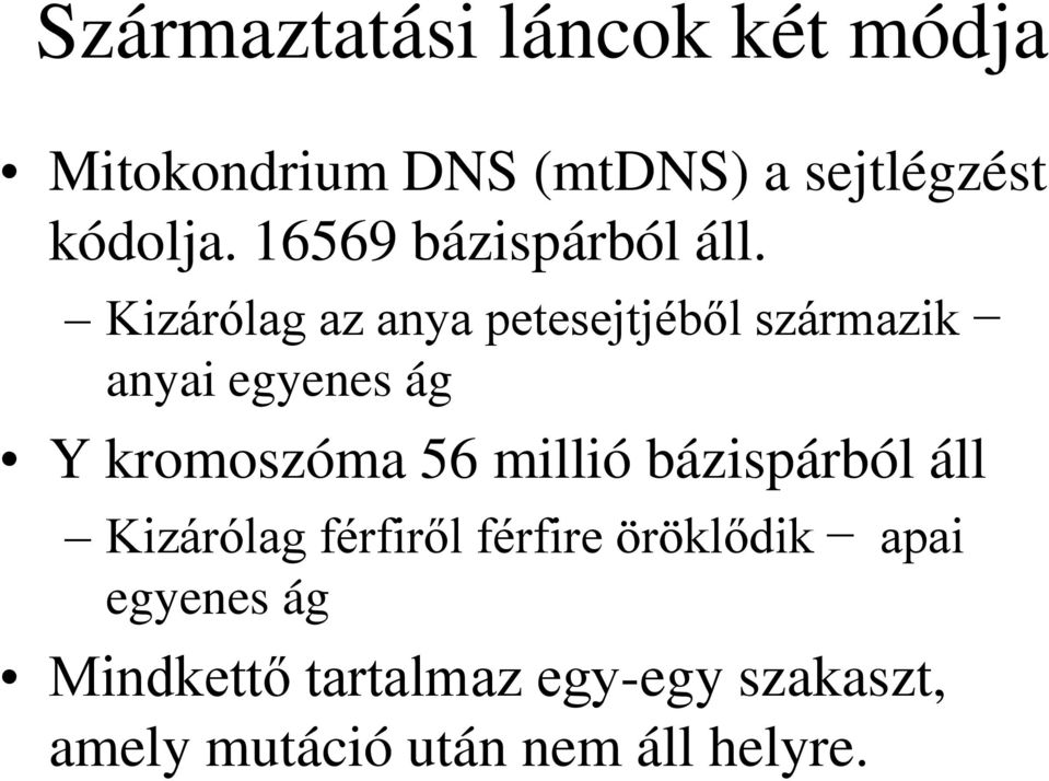 Kizárólag az anya petesejtjéből származik anyai egyenes ág Y kromoszóma 56 millió