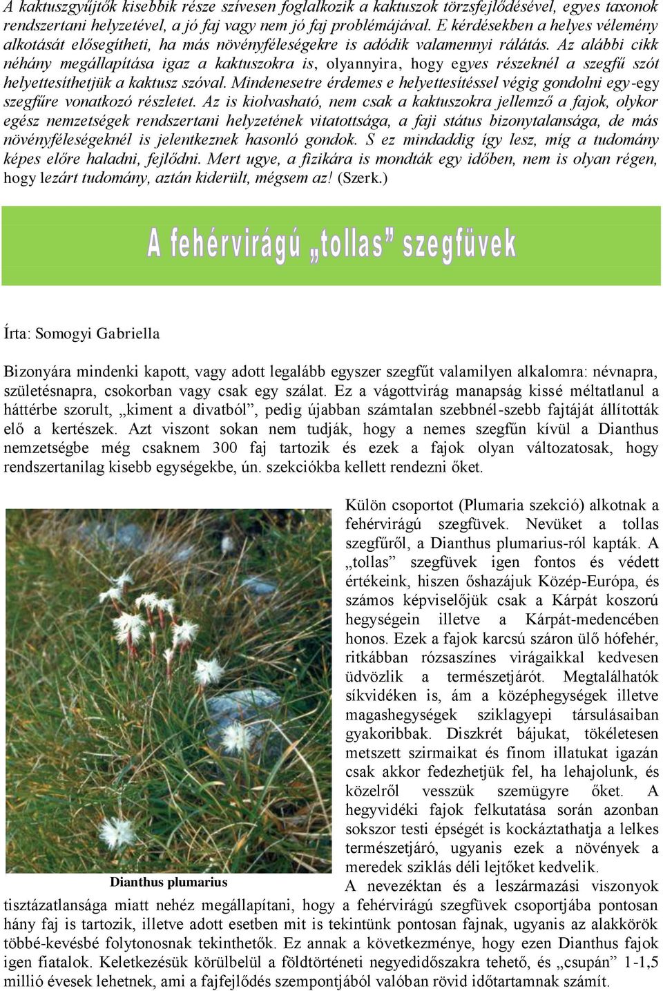 Az alábbi cikk néhány megállapítása igaz a kaktuszokra is, olyannyira, hogy egyes részeknél a szegfű szót helyettesíthetjük a kaktusz szóval.