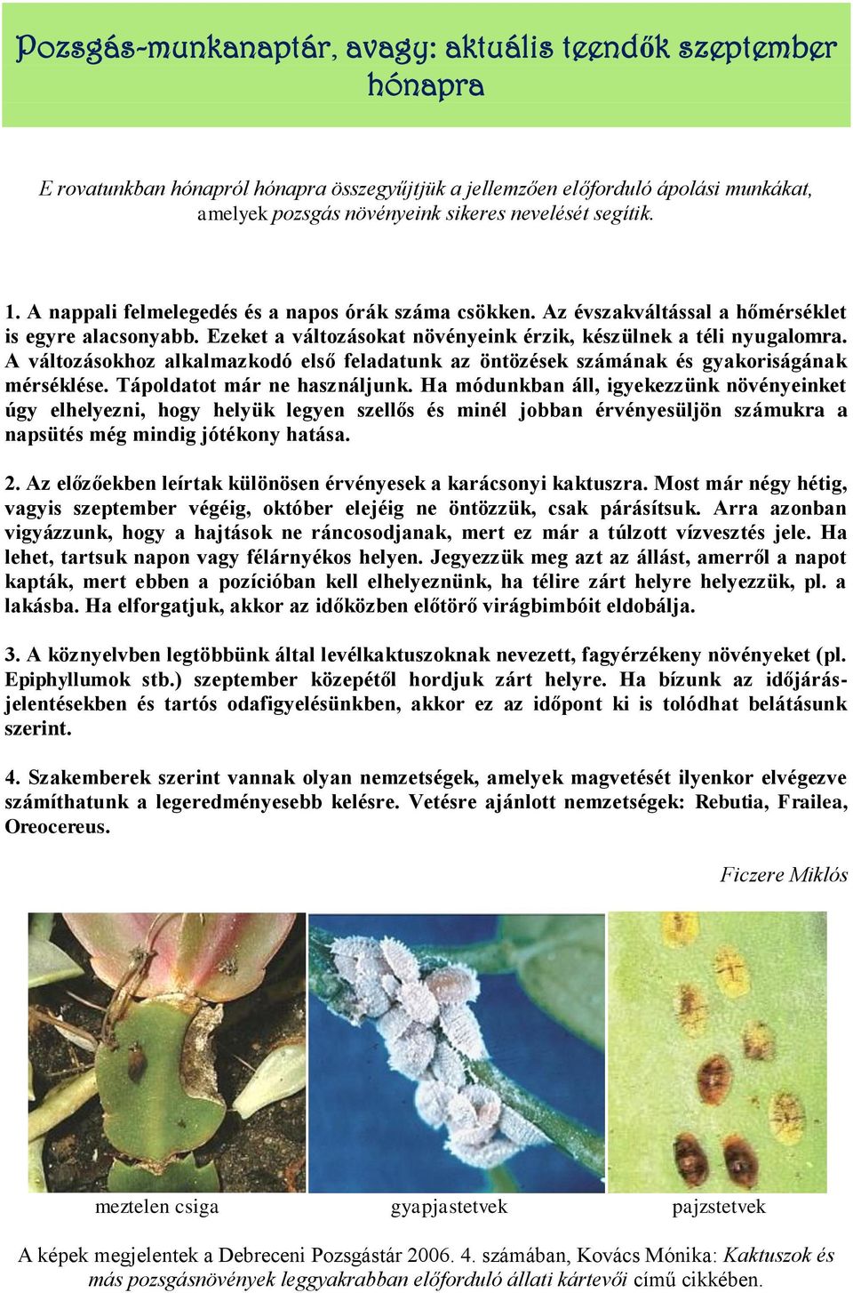 A változásokhoz alkalmazkodó első feladatunk az öntözések számának és gyakoriságának mérséklése. Tápoldatot már ne használjunk.