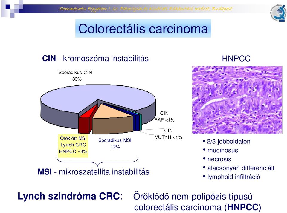 <1% CIN MUTYH <1% 2/3 jobboldalon mucinosus necrosis alacsonyan differenciált lymphoid