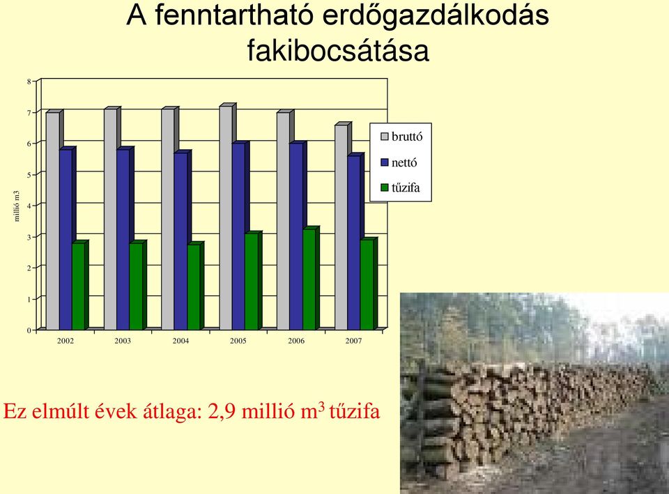 nettó tűzifa 3 2 1 0 2002 2003 2004 2005