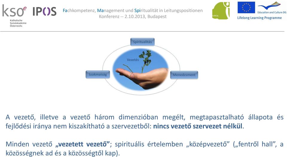 vezető szervezet nélkül.