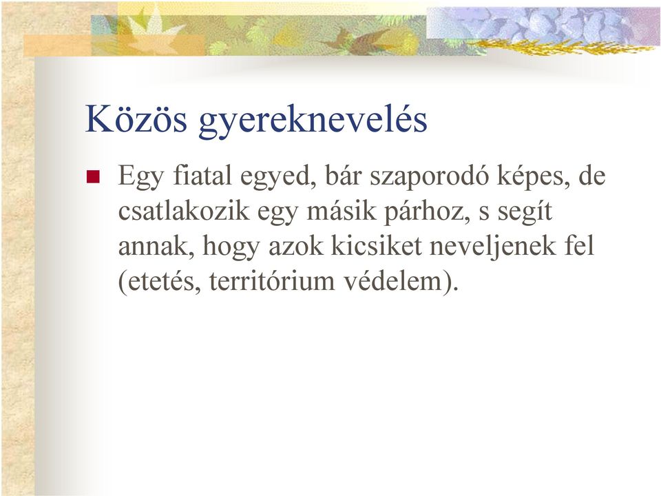 párhoz, s segít annak, hogy azok kicsiket