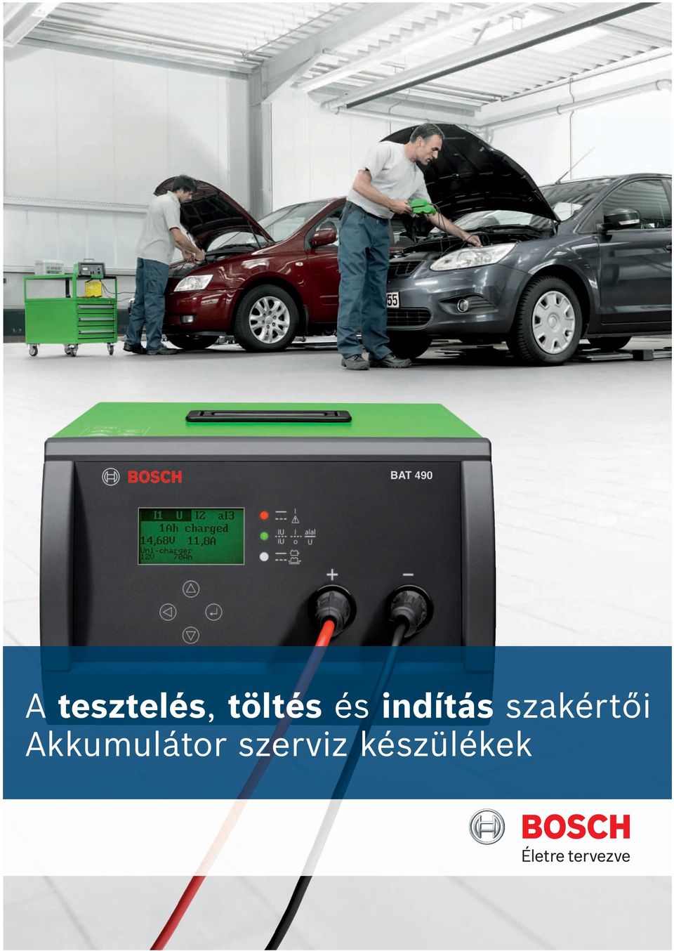 szakértői