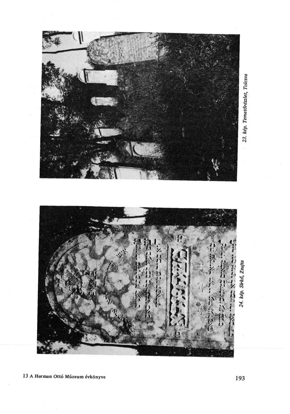 Ottó