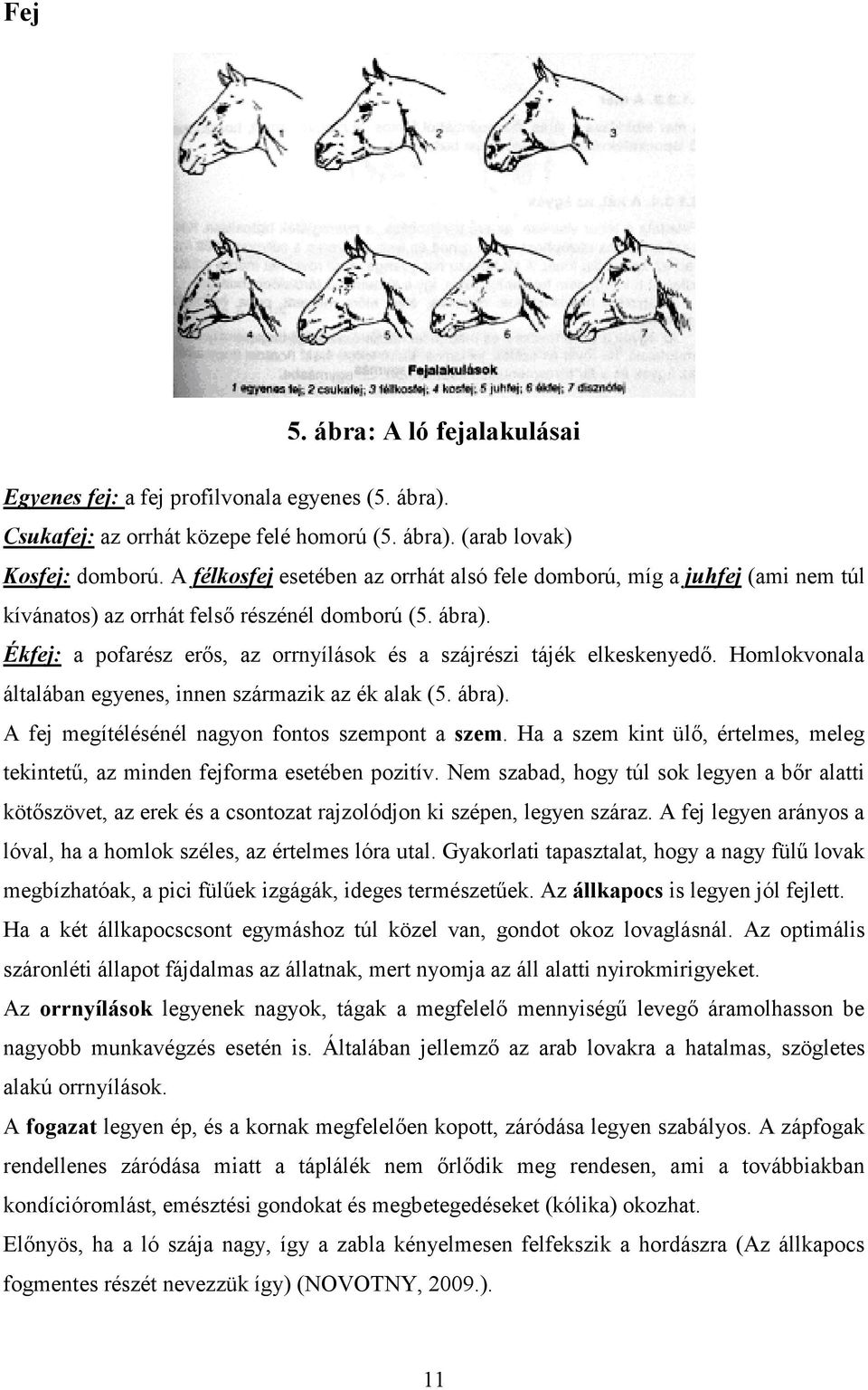 Ékfej: a pofarész erős, az orrnyílások és a szájrészi tájék elkeskenyedő. Homlokvonala általában egyenes, innen származik az ék alak (5. ábra). A fej megítélésénél nagyon fontos szempont a szem.