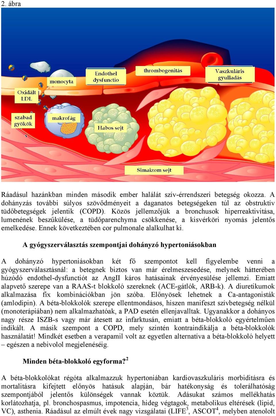 Közös jellemzőjük a bronchusok hiperreaktivitása, lumenének beszűkülése, a tüdőparenchyma csökkenése, a kisvérköri nyomás jelentős emelkedése. Ennek következtében cor pulmonale alalkulhat ki.